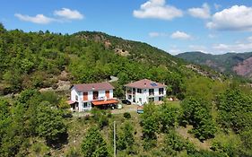 Moto Pareto B&B